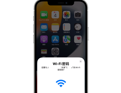 白水苹果15维修店分享iPhone15如何共享Wi-Fi密码