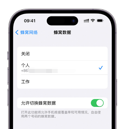 白水苹果维修服务分享如何在iPhone上使用双卡 